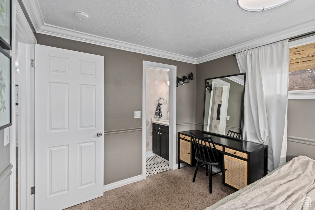 Carpeted bedroom featuring ornamental molding, ensuite bath, baseboards, and a textured ceiling