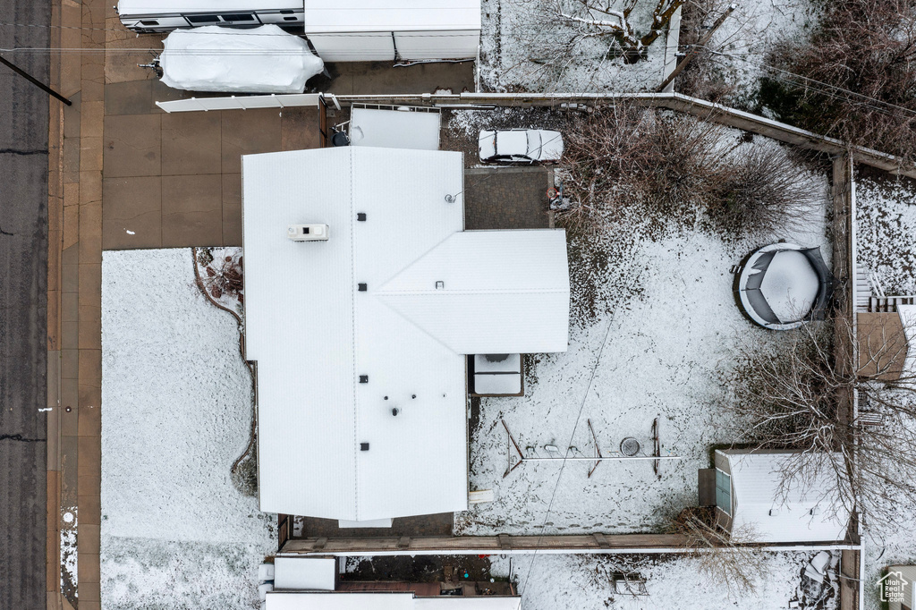Bird\'s eye view