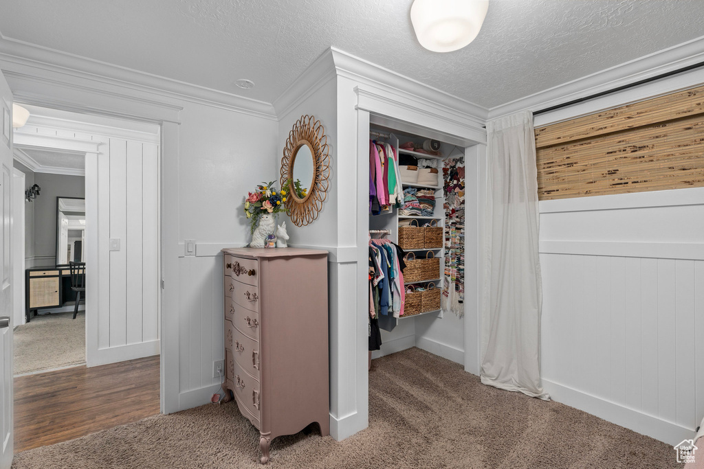 Hall featuring carpet floors, ornamental molding, and a textured ceiling