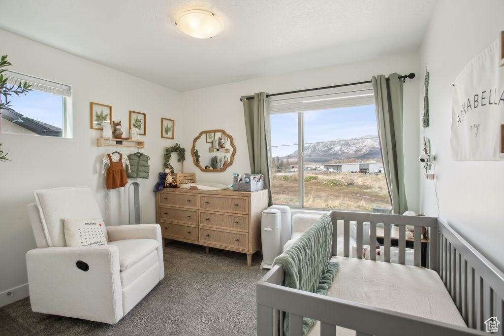 Bedroom with a crib and carpet