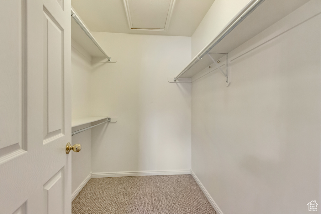 Spacious closet with light carpet