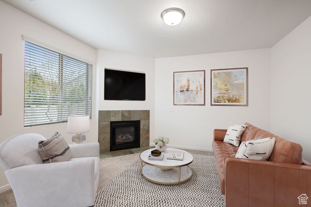 Living area with light carpet, baseboards, and a fireplace