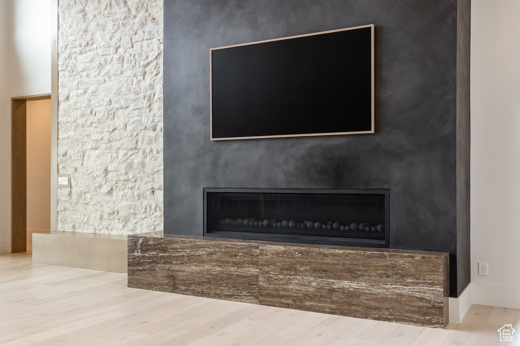 Room details featuring a fireplace and wood finished floors
