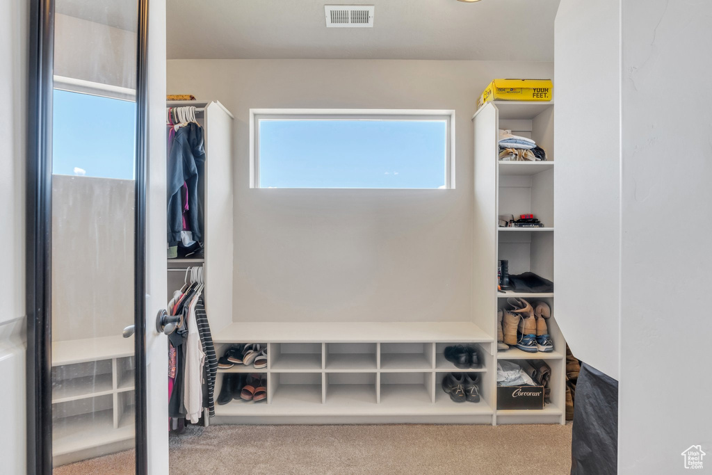 Spacious closet featuring carpet floors