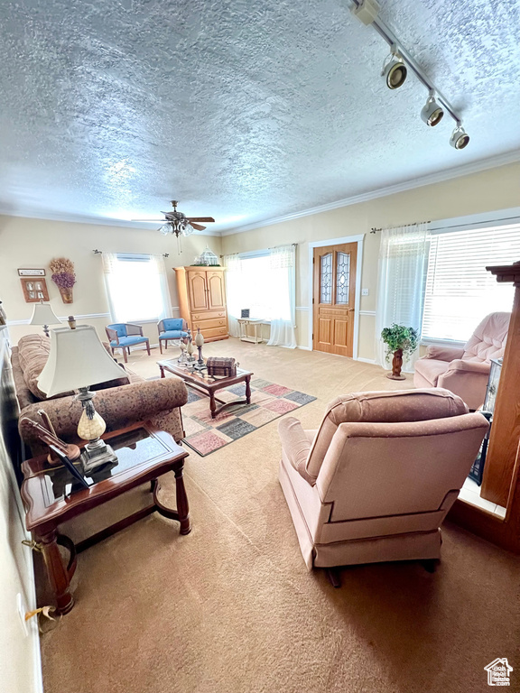 Living area featuring light carpet, a textured ceiling, rail lighting, and a ceiling fan
