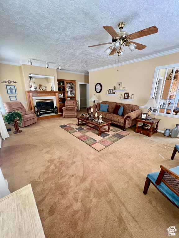 Carpeted living room with a textured ceiling, crown molding, a glass covered fireplace, and a ceiling fan