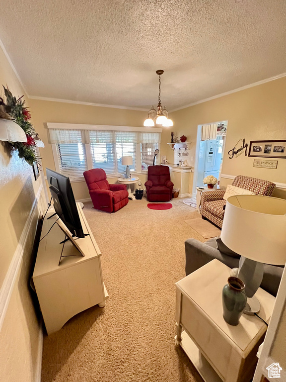 Carpeted living room featuring an inviting chandelier, crown molding, and a textured ceiling