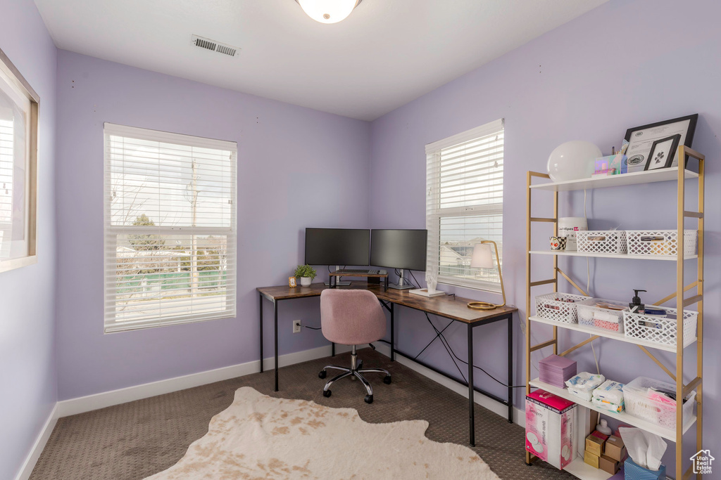 Office area with carpet floors, baseboards, and visible vents