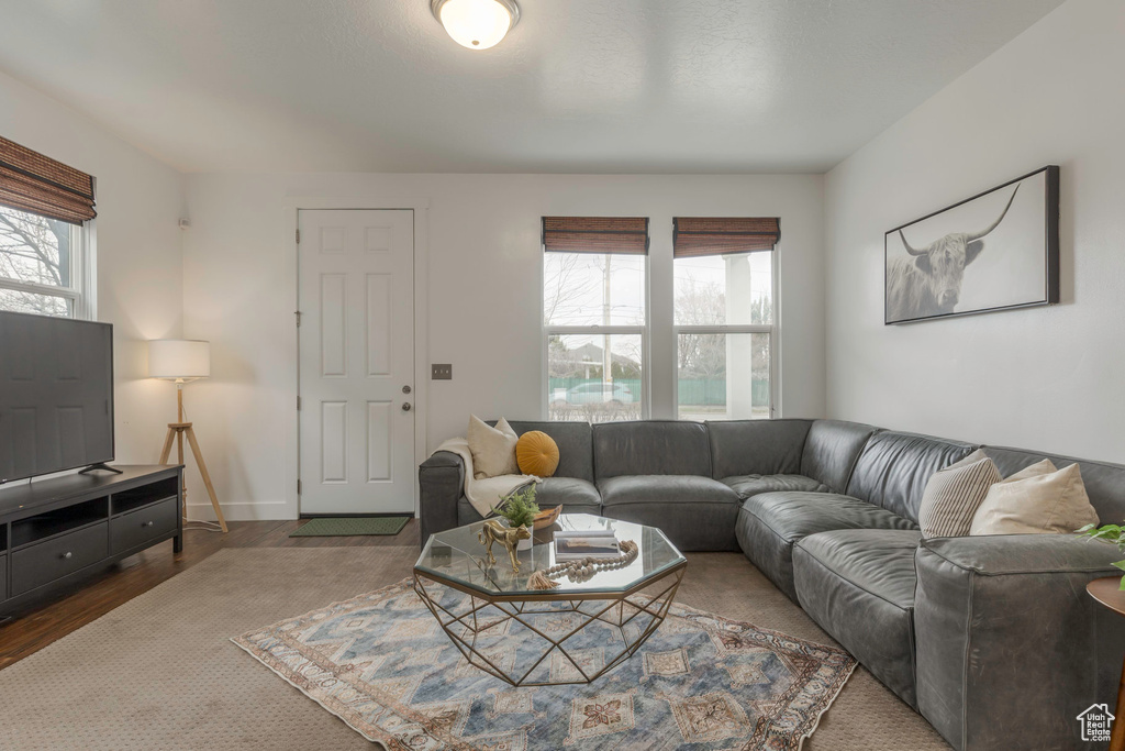 Living area with baseboards, a wealth of natural light, and wood finished floors