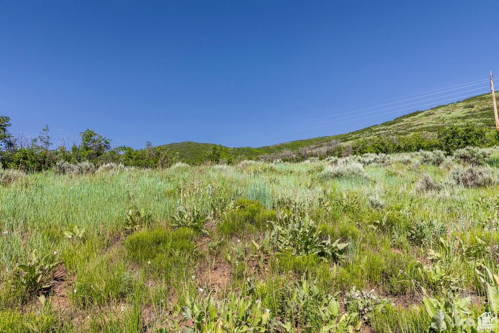 View of landscape featuring a mountain view