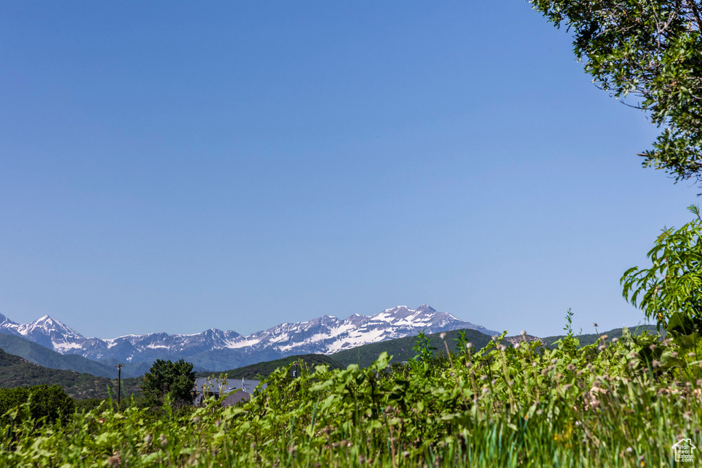 Mountain view