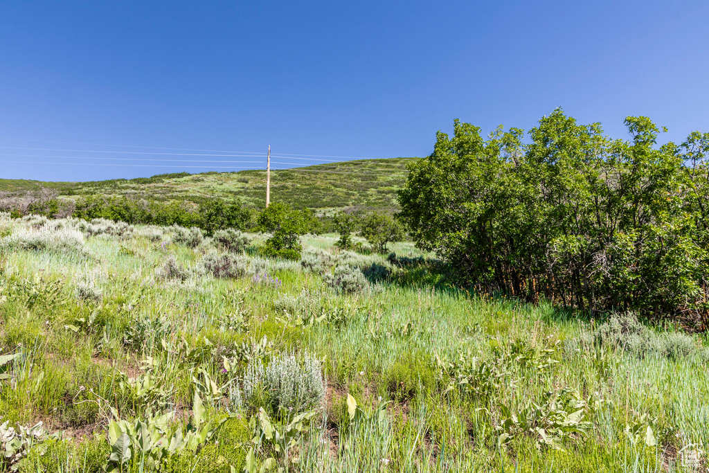 View of landscape
