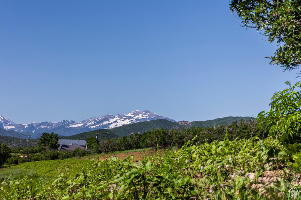 View of mountain feature