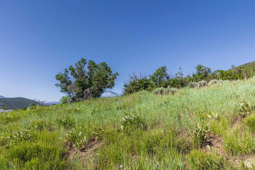 View of nature featuring a mountain view