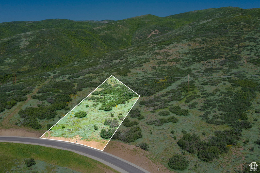 Birds eye view of property with a mountain view
