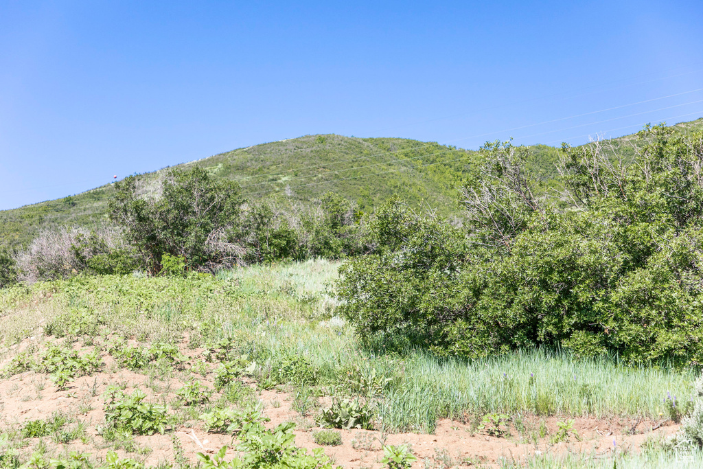 Mountain view