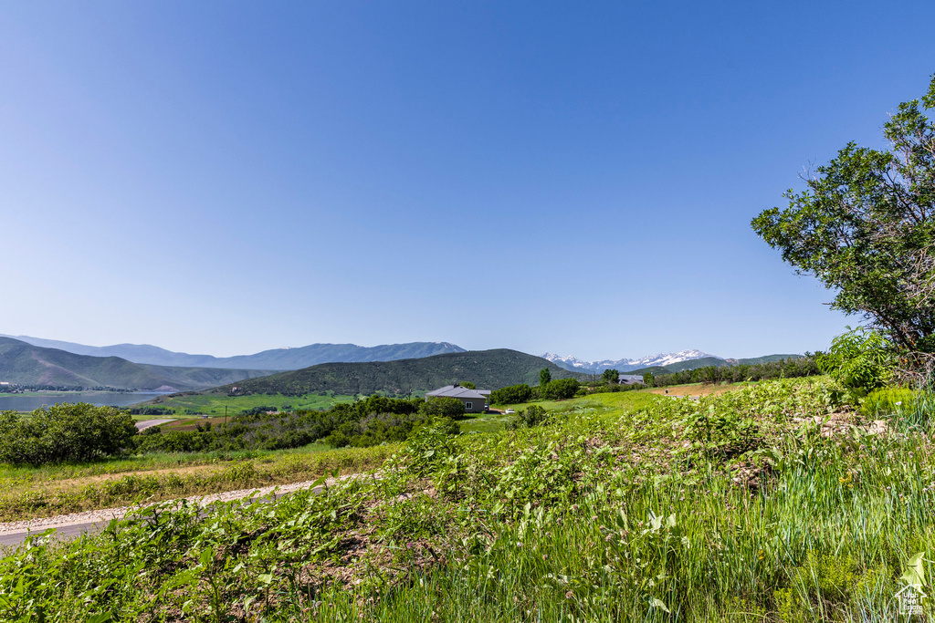 Mountain view