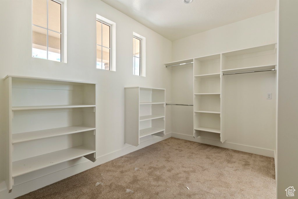Walk in closet with carpet flooring
