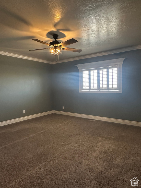 Unfurnished room featuring ornamental molding and dark colored carpet