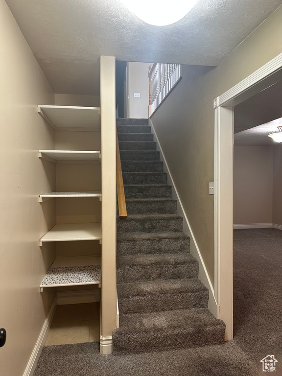 Stairs featuring carpet floors, baseboards, and a textured ceiling