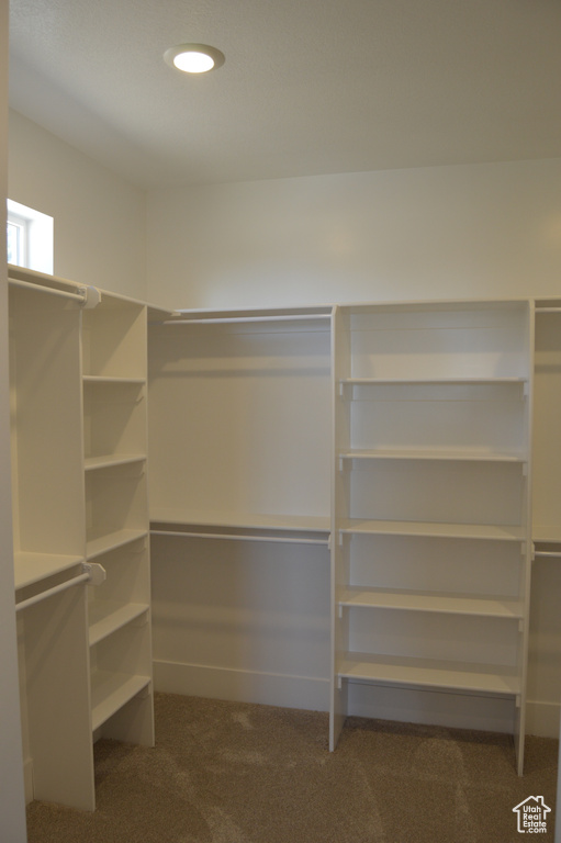 Spacious closet with carpet floors