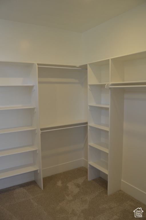 Walk in closet featuring carpet flooring