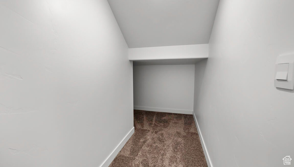 Spacious closet with carpet flooring