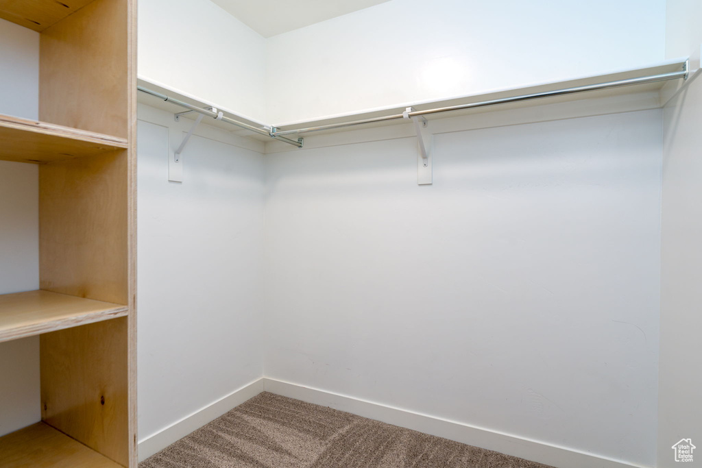Spacious closet featuring carpet