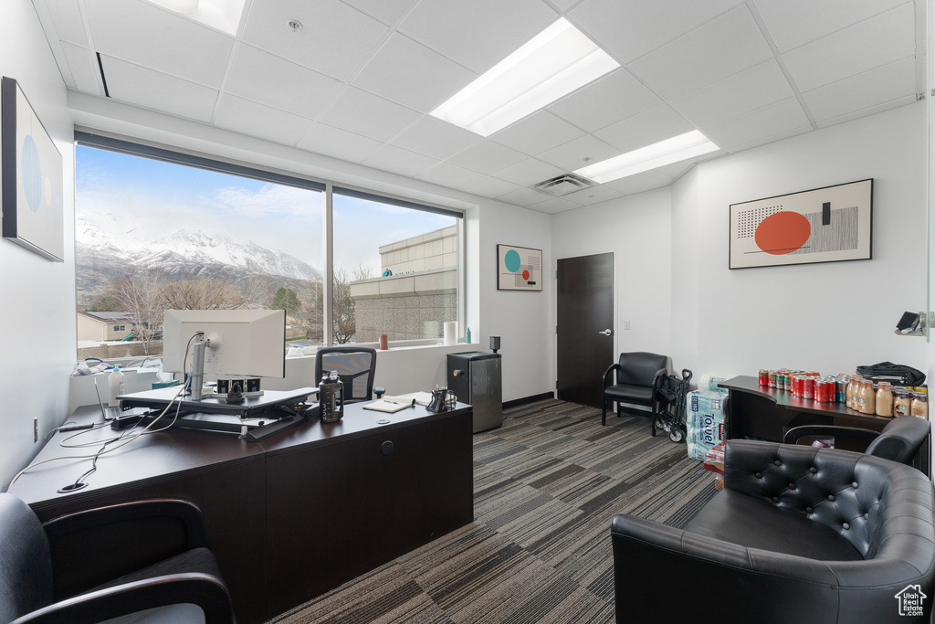 Office area with a drop ceiling, carpet, and visible vents