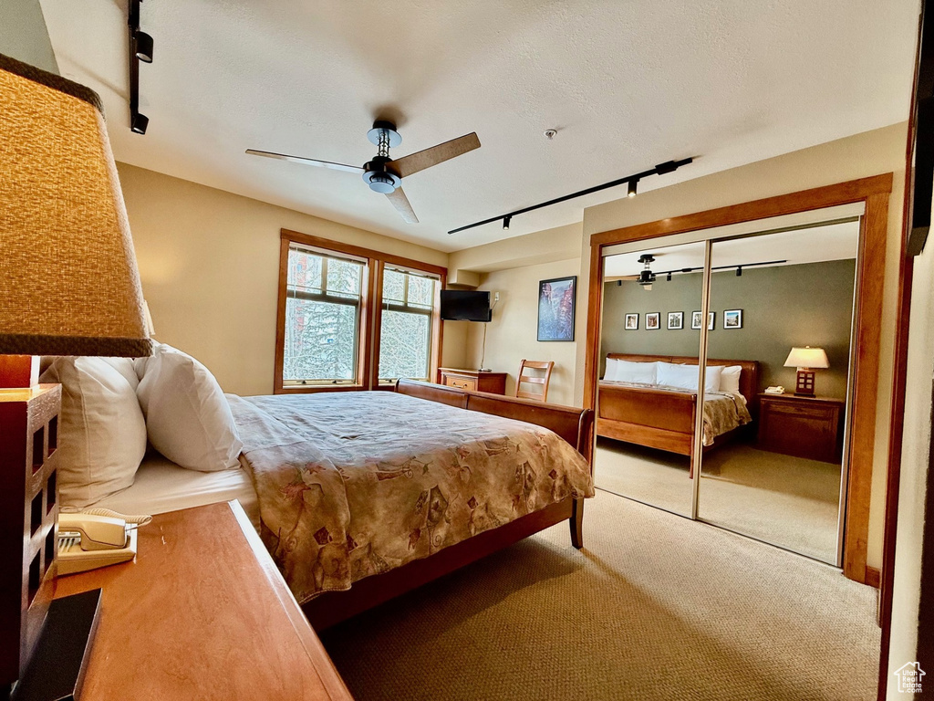 Bedroom featuring a ceiling fan, rail lighting, and carpet floors