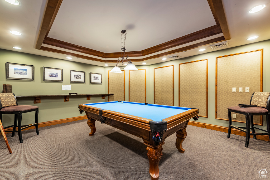 Playroom with a tray ceiling and carpet