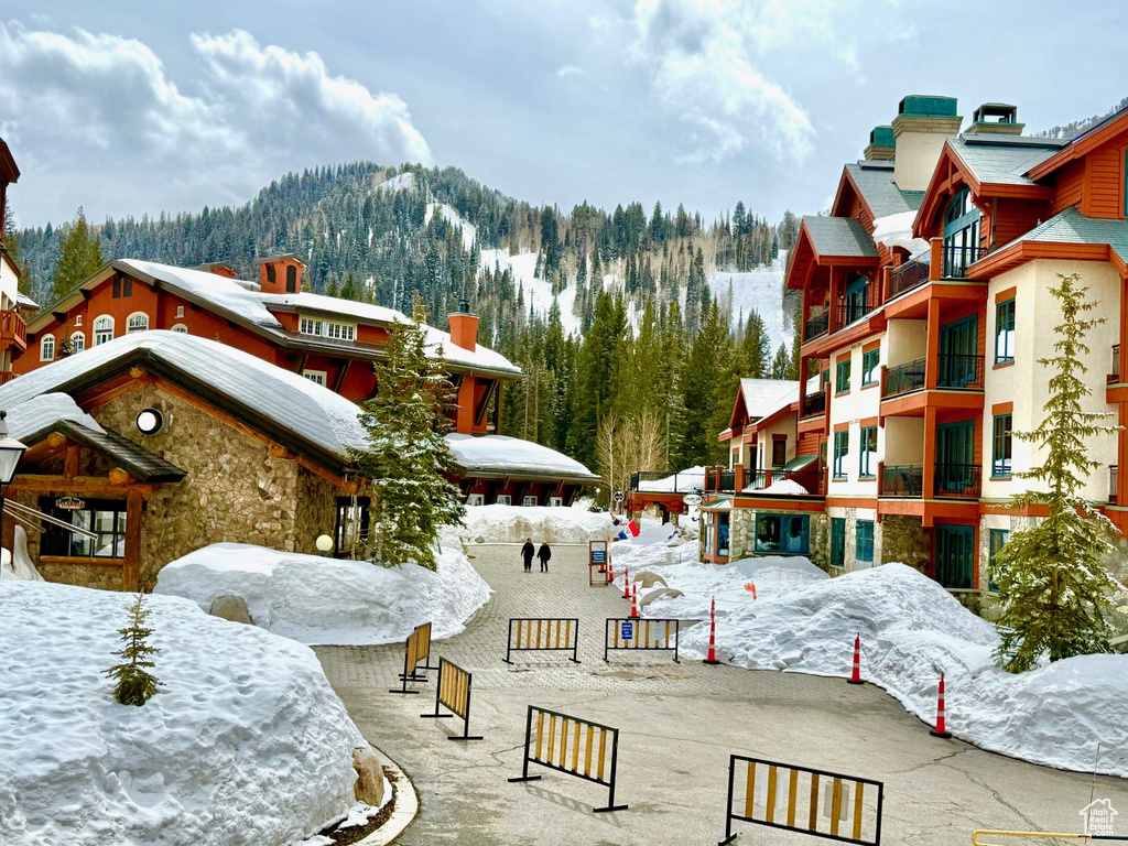 Surrounding community featuring a forest view and a mountain view