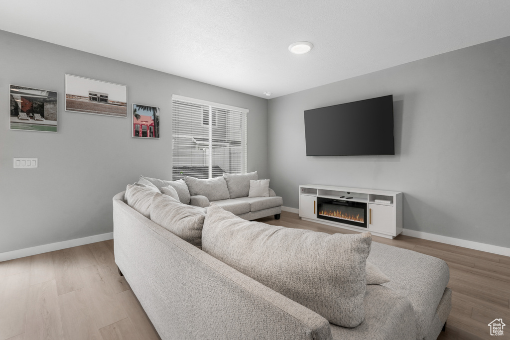 Living room featuring baseboards, wood finished floors, and a glass covered fireplace