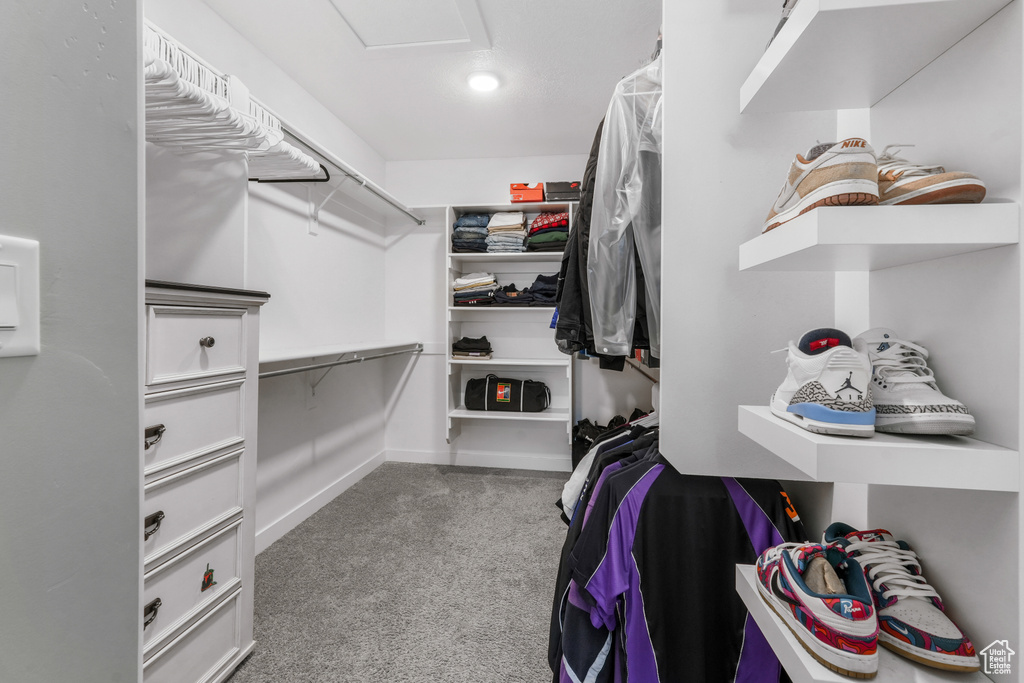Walk in closet featuring carpet and attic access