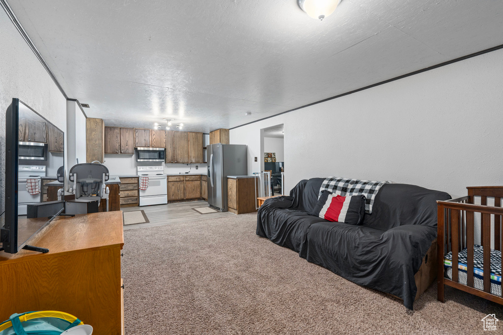 Living room featuring light colored carpet and a textured ceiling