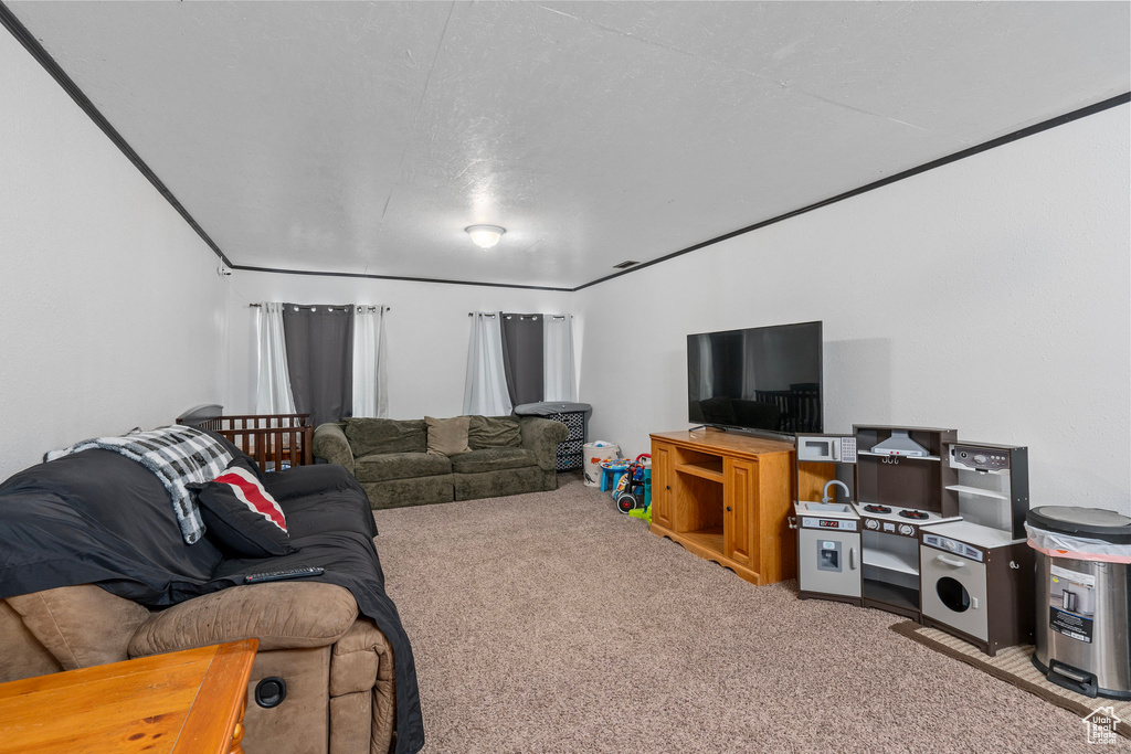 Living area featuring ornamental molding and carpet