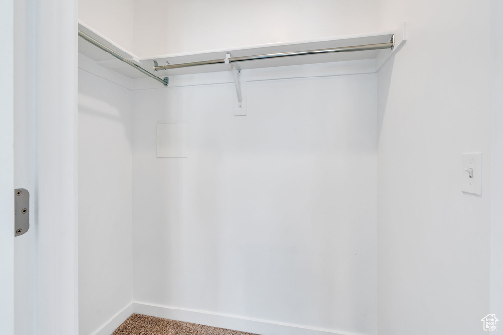 Spacious closet with carpet flooring