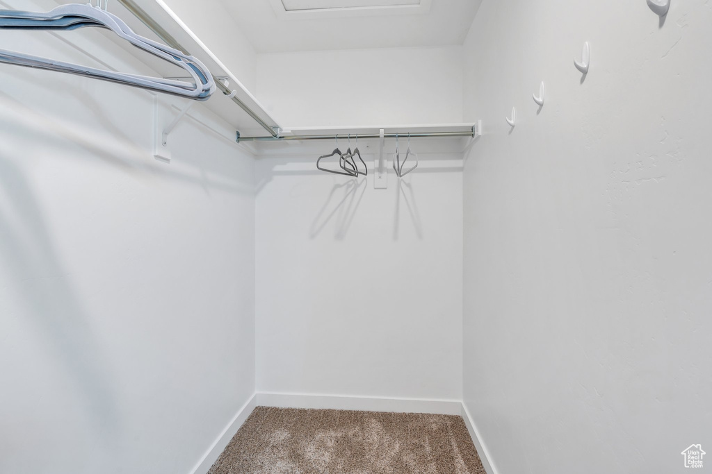 Walk in closet with carpet floors