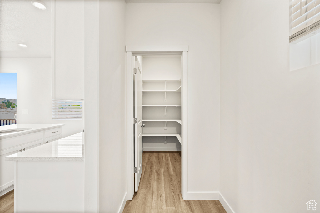 Spacious closet with light wood-style flooring