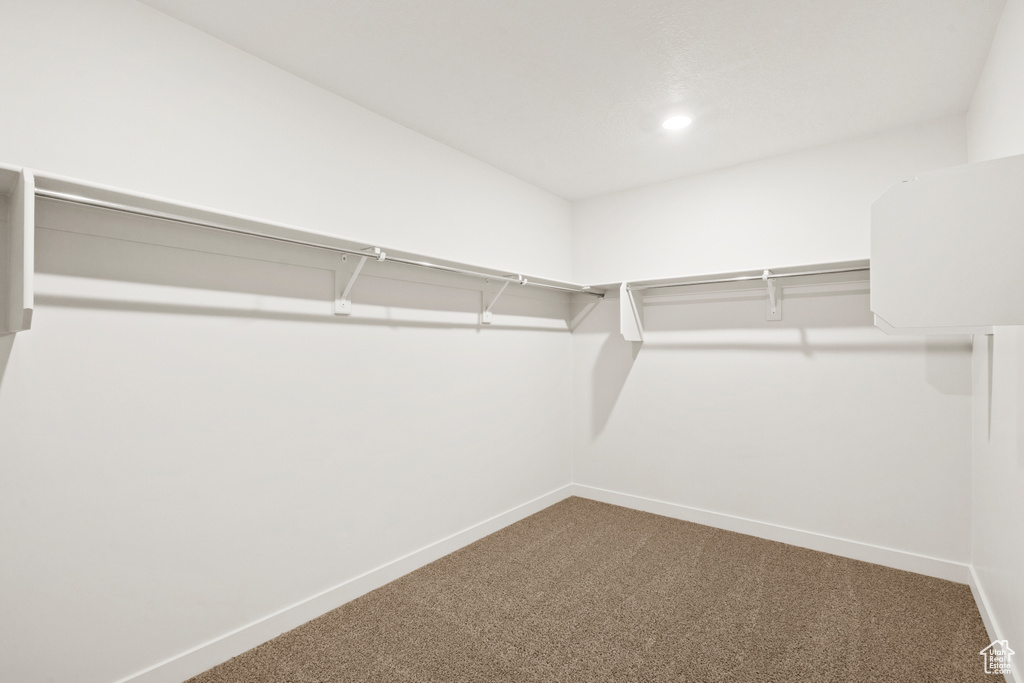 Walk in closet with carpet floors