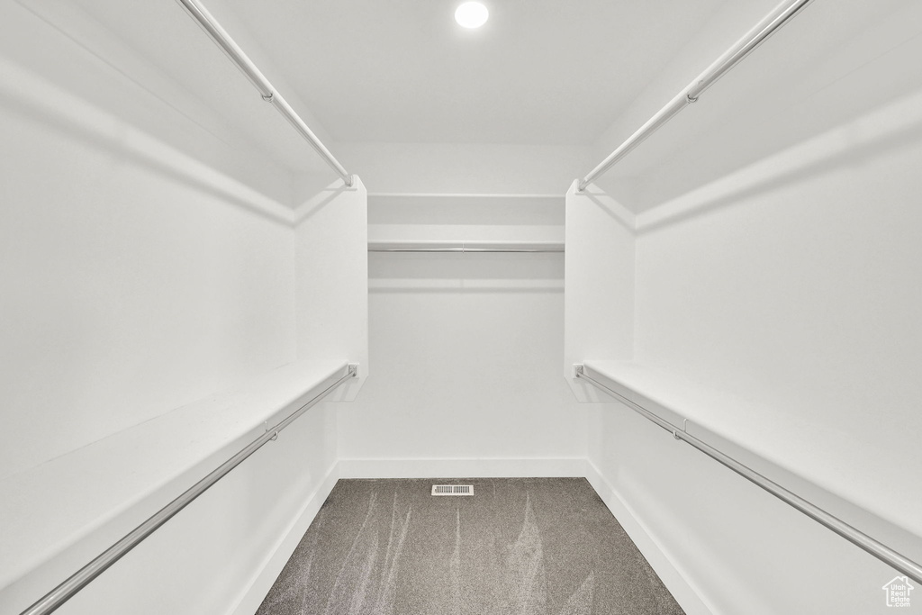 Spacious closet featuring dark colored carpet
