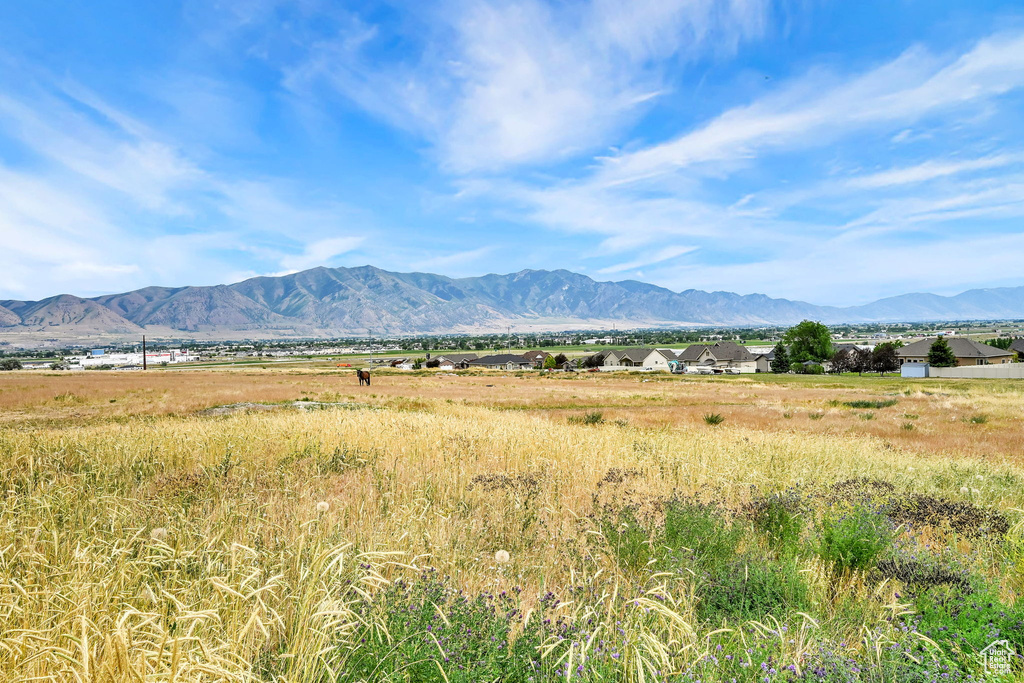 View of mountain background