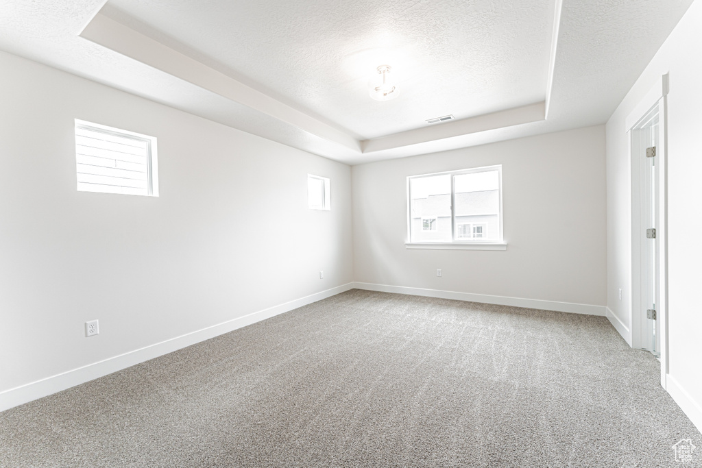 Unfurnished room featuring a raised ceiling, a textured ceiling, and light carpet