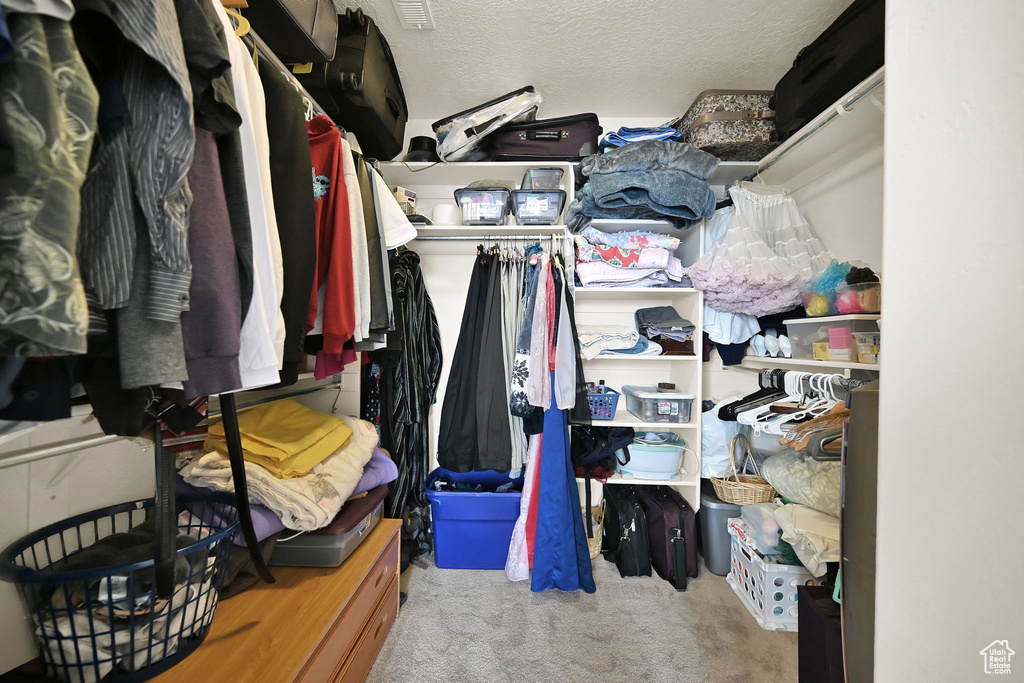 Spacious closet featuring carpet floors
