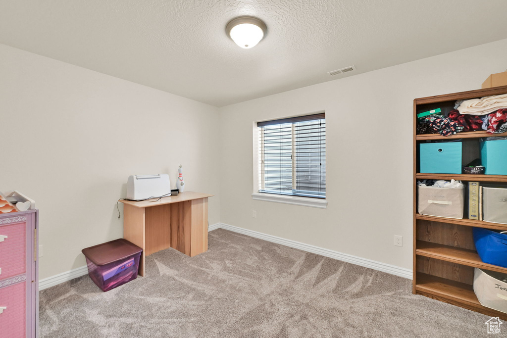 Office area with baseboards, carpet flooring, a textured ceiling, and visible vents