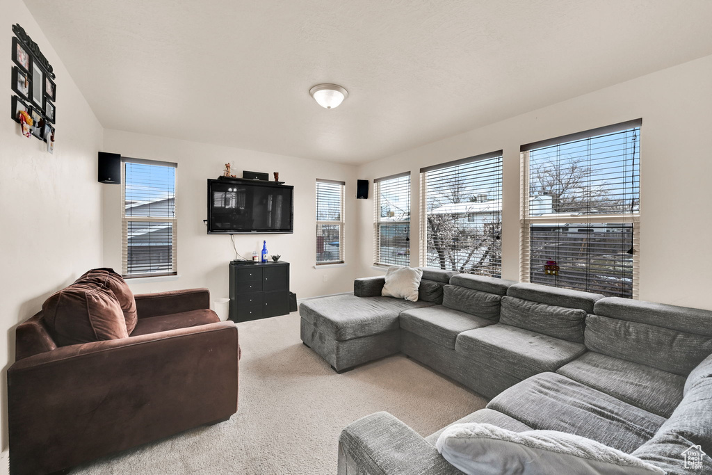 Carpeted living area with plenty of natural light
