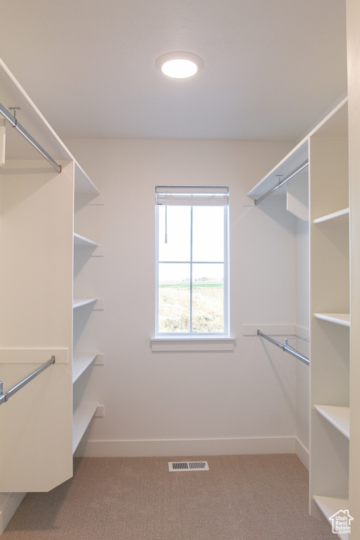 Walk in closet featuring carpet flooring and visible vents