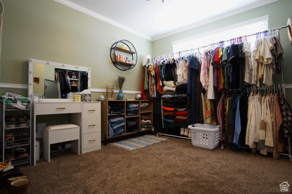 Spacious closet with carpet flooring