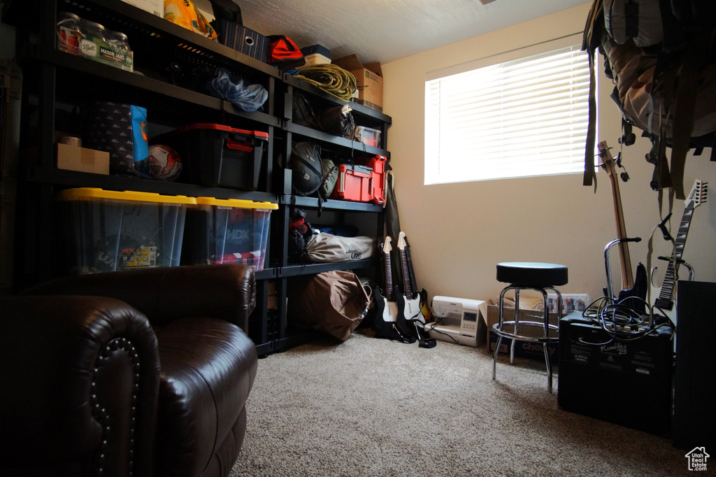 Living area featuring carpet floors