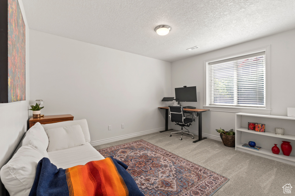 Office featuring carpet, baseboards, and a textured ceiling